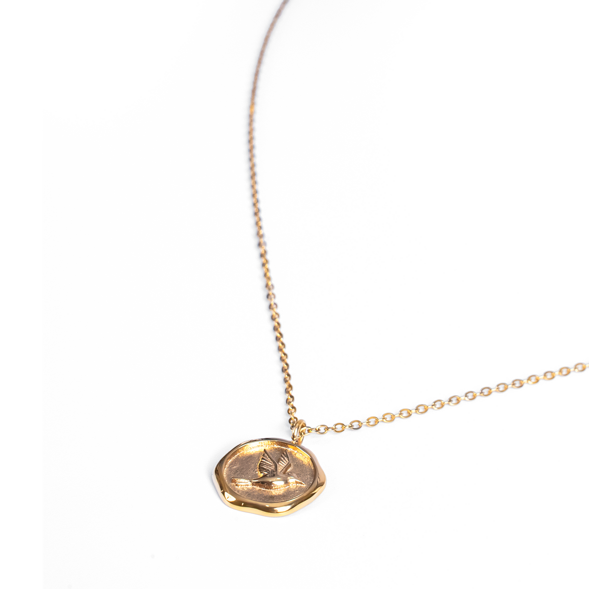 Song of Freedom Coin Necklace