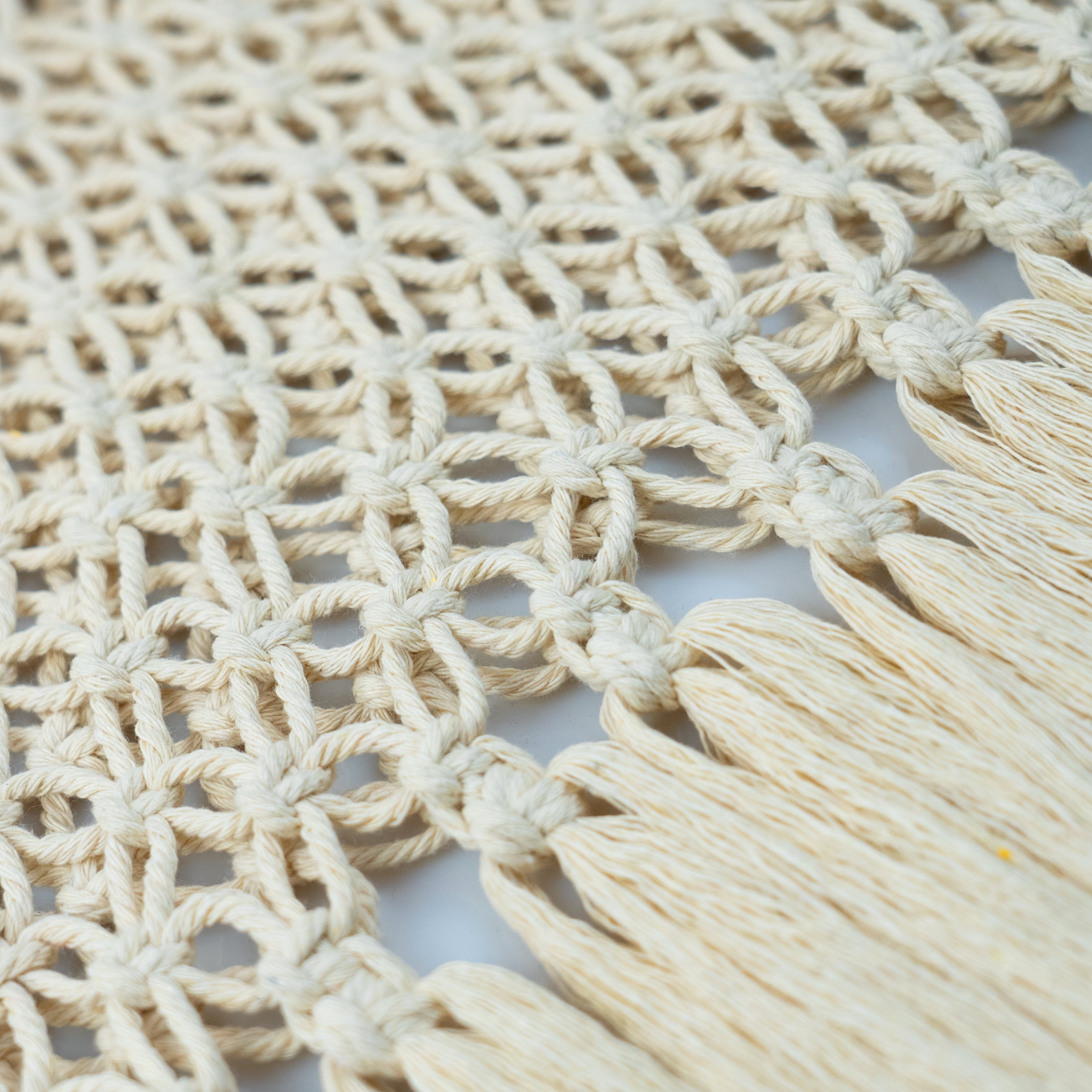 Knots of Freedom Macramé Bag